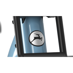 Gazelle Cabby C380 Performance Line CX