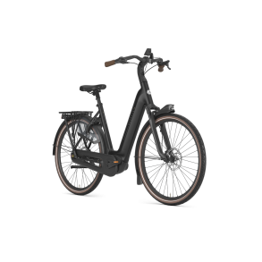 Gazelle Arroyo C8+ Elite Active Line Plus