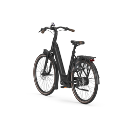 Gazelle Arroyo C8+ Elite Active Line Plus