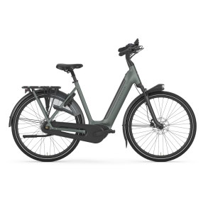 Gazelle Arroyo C8+ Elite Active Line Plus