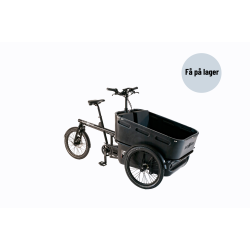 Black Iron Horse POLLY FAMILY