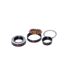 Fulcrum Leje Kit RS-100 Lejer/Konus/Pakninger/Sk&aring;l