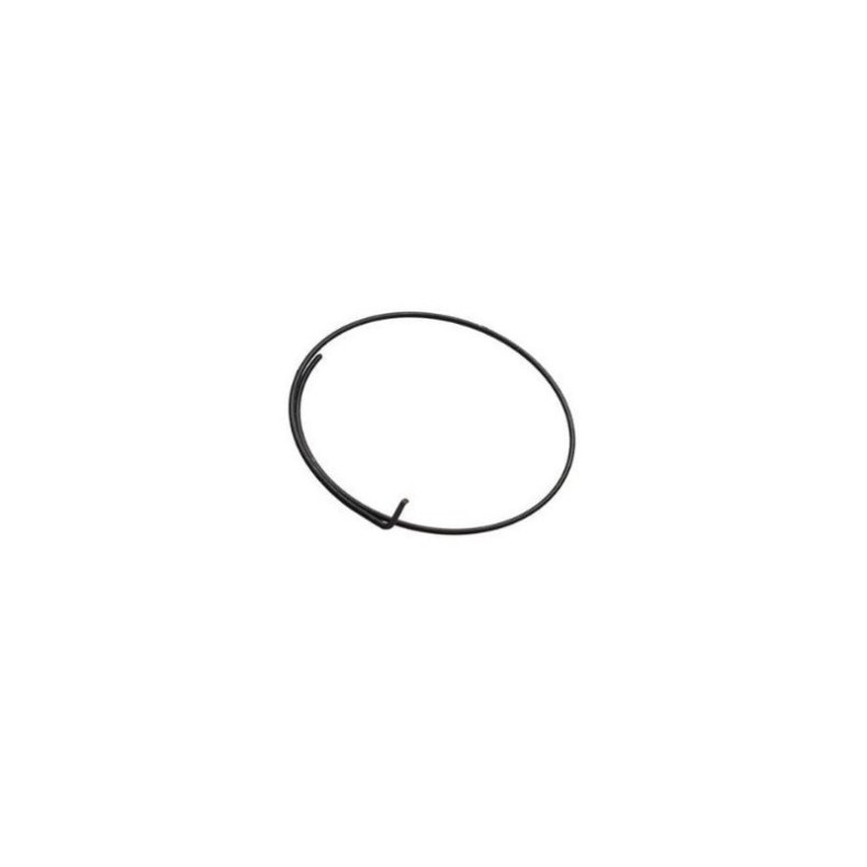 Fulcrum Kassettehus Palerfjeder 1 stk