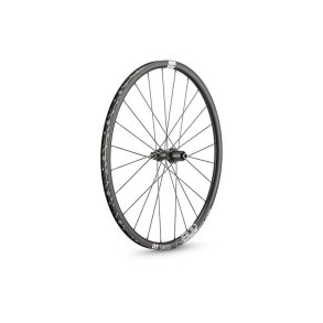 DT Swiss Baghjul 29