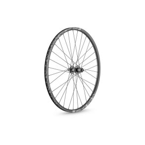 DT Swiss Baghjul 29