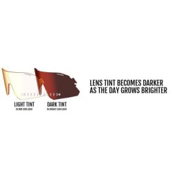 Tifosi Solbrille Rail