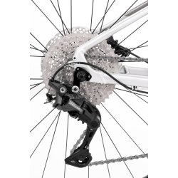 Rock Machine Torrent 50-29